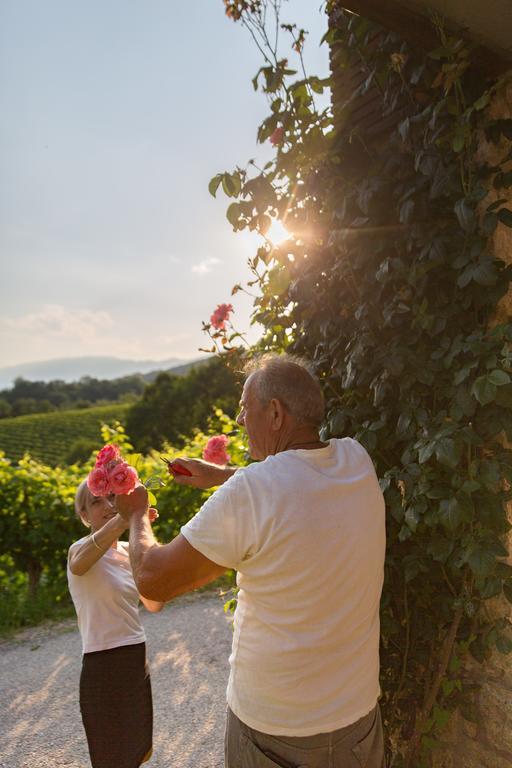 Villa Prosecco Tarzo 외부 사진
